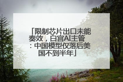 限制芯片出口未能奏效，白宫AI主管：中国模型仅落后美国不到半年
