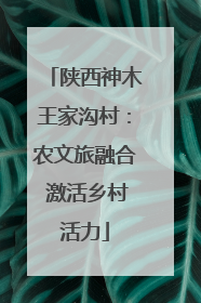 陕西神木王家沟村：农文旅融合 激活乡村活力