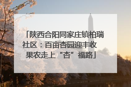 陕西合阳同家庄镇柏瑞社区：百亩杏园迎丰收 果农走上“杏”福路