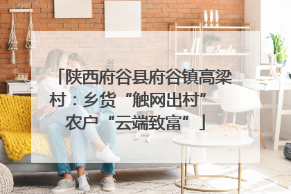 陕西府谷县府谷镇高梁村：乡货“触网出村” 农户“云端致富”