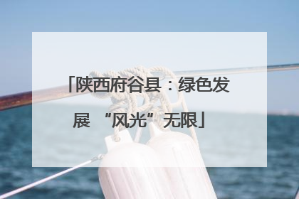陕西府谷县：绿色发展 “风光”无限