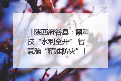 陕西府谷县：黑科技“水利全开” 智慧脑“精准防灾”