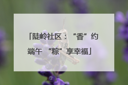 陡岭社区：“香”约端午 “粽”享幸福