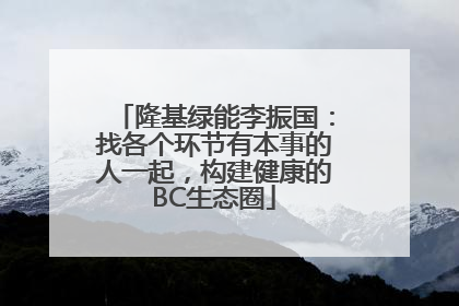 隆基绿能李振国：找各个环节有本事的人一起，构建健康的BC生态圈