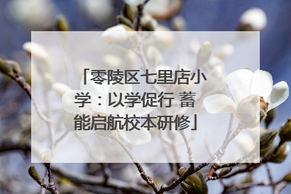 零陵区七里店小学：以学促行 蓄能启航校本研修