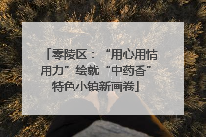 零陵区：“用心用情用力”绘就“中药香”特色小镇新画卷
