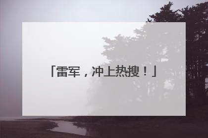 雷军，冲上热搜！