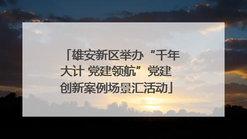 雄安新区举办“千年大计 党建领航”党建创新案例场景汇活动