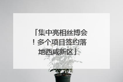 集中亮相丝博会！多个项目签约落地西咸新区