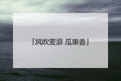 风吹麦浪 瓜果香