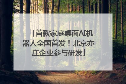 首款家庭桌面AI机器人全国首发！北京亦庄企业参与研发