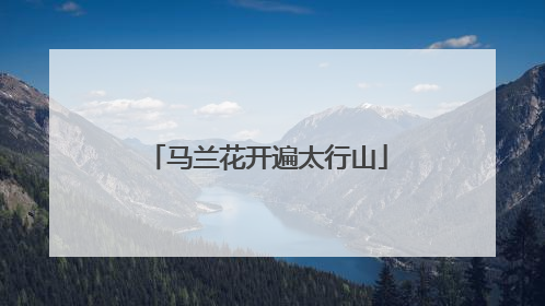 马兰花开遍太行山