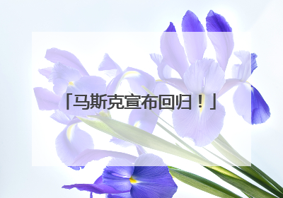 马斯克宣布回归！