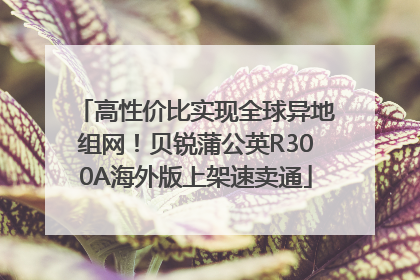 高性价比实现全球异地组网！贝锐蒲公英R300A海外版上架速卖通