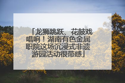 龙狮跳跃、花鼓戏唱响！湖南有色金属职院这场沉浸式非遗游园活动很带感