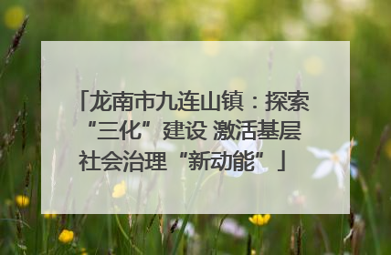 龙南市九连山镇：探索“三化”建设 激活基层社会治理“新动能”