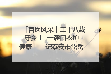 鲁医风采｜二十八载守乡土  一袭白衣护健康——记泰安市岱岳区满庄镇卫生院院长、主任医师张宝喜