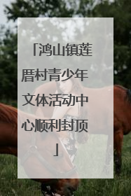 鸿山镇莲厝村青少年文体活动中心顺利封顶