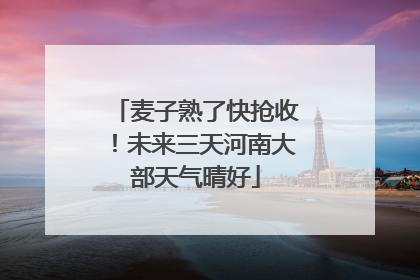 麦子熟了快抢收！未来三天河南大部天气晴好