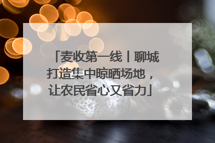 麦收第一线丨聊城打造集中晾晒场地，让农民省心又省力