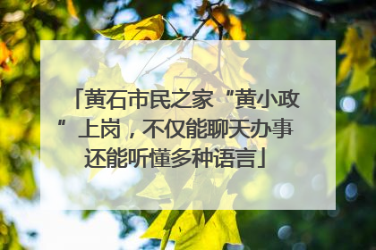 黄石市民之家“黄小政”上岗，不仅能聊天办事还能听懂多种语言