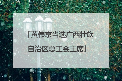 黄伟京当选广西壮族自治区总工会主席