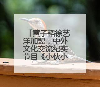 黄子韬徐艺洋加盟，中外文化交流纪实节目《小伙小妹换游记》六月上线