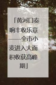 黄河口奏响丰收乐章——全市小麦进入大面积收获高峰期