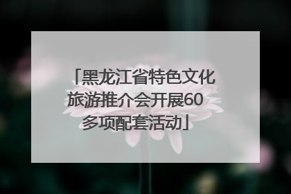 黑龙江省特色文化旅游推介会开展60多项配套活动
