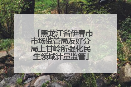 黑龙江省伊春市市场监管局友好分局上甘岭所强化民生领域计量监管