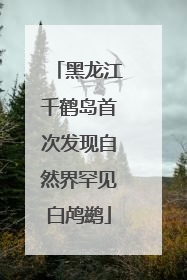 黑龙江千鹤岛首次发现自然界罕见白鸬鹚