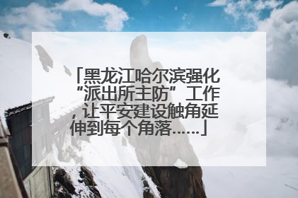 黑龙江哈尔滨强化“派出所主防”工作，让平安建设触角延伸到每个角落……