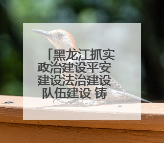 黑龙江抓实政治建设平安建设法治建设队伍建设 铸就“三基地一屏障一高地”安全基石