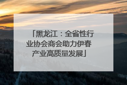 黑龙江：全省性行业协会商会助力伊春产业高质量发展