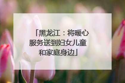 黑龙江：将暖心服务送到妇女儿童和家庭身边
