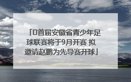 ﻿首届安徽省青少年足球联赛将于9月开赛 拟邀请赵鹏为先导赛开球