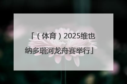 （体育）2025维也纳多瑙河龙舟赛举行