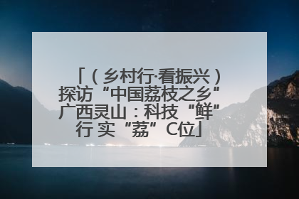 （乡村行·看振兴）探访“中国荔枝之乡”广西灵山：科技“鲜”行 实“荔”C位