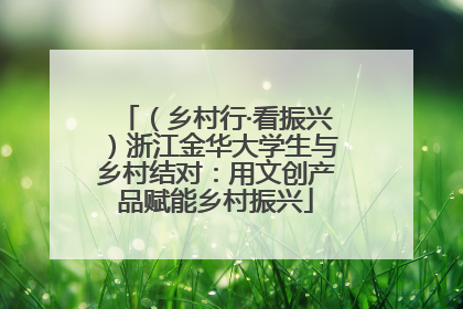 （乡村行·看振兴）浙江金华大学生与乡村结对：用文创产品赋能乡村振兴