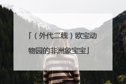 （外代二线）欧宝动物园的非洲象宝宝