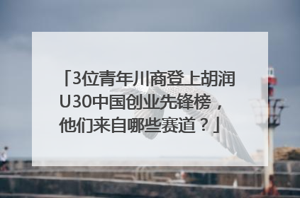 3位青年川商登上胡润U30中国创业先锋榜，他们来自哪些赛道？