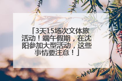 3天15场次文体旅活动！端午假期，在沈阳参加大型活动，这些事情要注意！