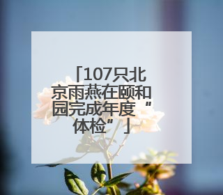 107只北京雨燕在颐和园完成年度“体检”