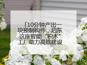 10分钟产出一块预制构件，启东这座智能“积木”工厂助力高铁建设再提速