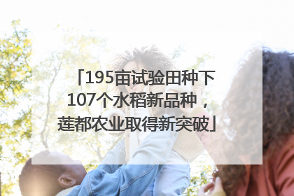 195亩试验田种下107个水稻新品种，莲都农业取得新突破