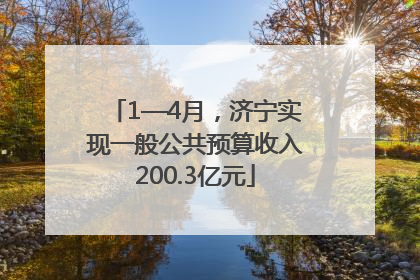 1—4月，济宁实现一般公共预算收入200.3亿元