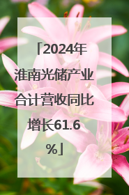 2024年淮南光储产业合计营收同比增长61.6%