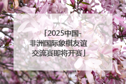 2025中国-非洲国际象棋友谊交流赛即将开赛