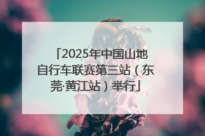 2025年中国山地自行车联赛第三站（东莞·黄江站）举行