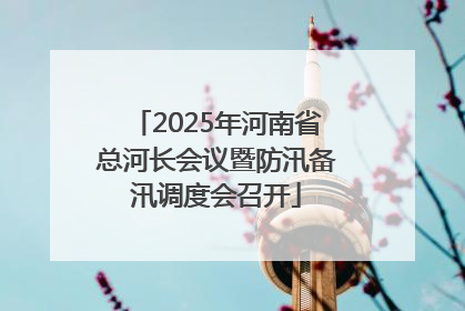 2025年河南省总河长会议暨防汛备汛调度会召开